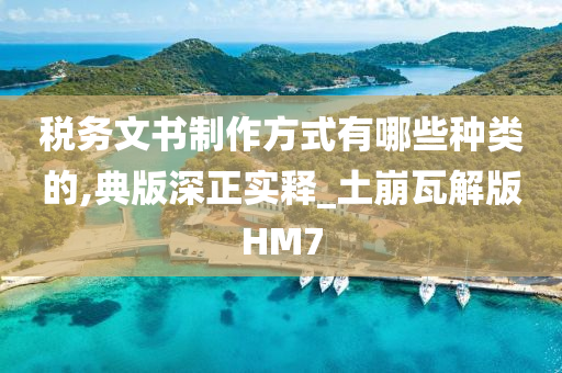 税务文书制作方式有哪些种类的,典版深正实释_土崩瓦解版HM7