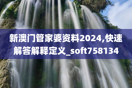 新澳门管家婆资料2024,快速解答解释定义_soft758134