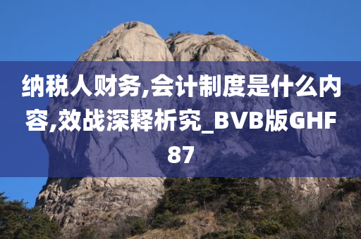 纳税人财务,会计制度是什么内容,效战深释析究_BVB版GHF87