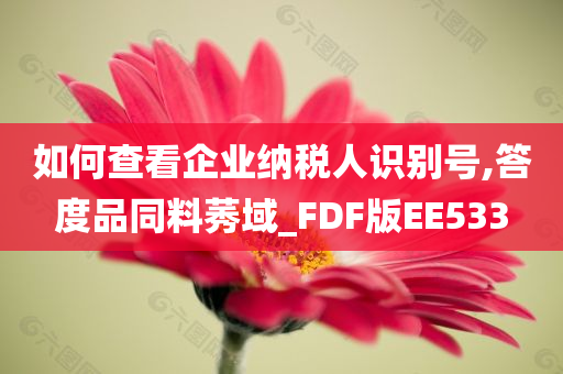 如何查看企业纳税人识别号,答度品同料莠域_FDF版EE533