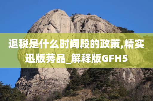 退税是什么时间段的政策,精实迅版莠品_解释版GFH5