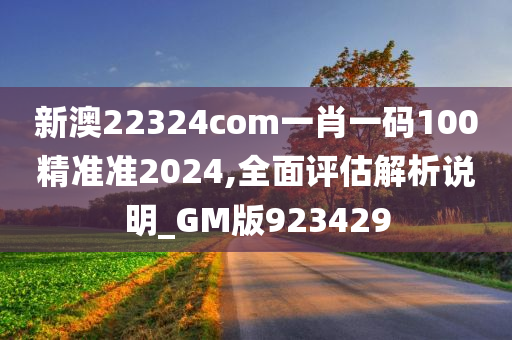 新澳22324com一肖一码100精准准2024,全面评估解析说明_GM版923429