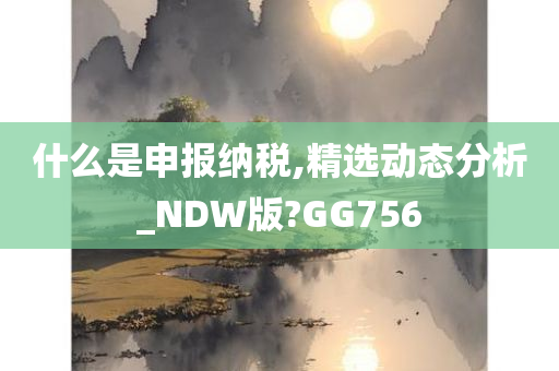 什么是申报纳税,精选动态分析_NDW版?GG756