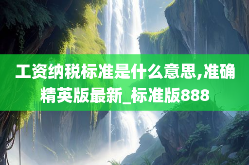 工资纳税标准是什么意思,准确精英版最新_标准版888