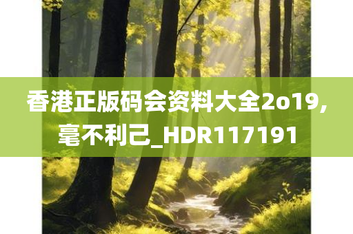 香港正版码会资料大全2o19,毫不利己_HDR117191