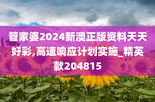 管家婆2024新澳正版资料天天好彩,高速响应计划实施_精英款204815