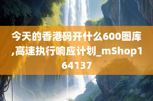 今天的香港码开什么600图库,高速执行响应计划_mShop164137