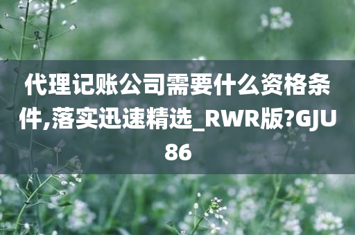 代理记账公司需要什么资格条件,落实迅速精选_RWR版?GJU86