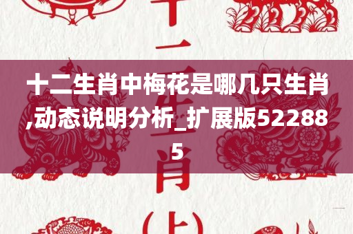 十二生肖中梅花是哪几只生肖,动态说明分析_扩展版522885