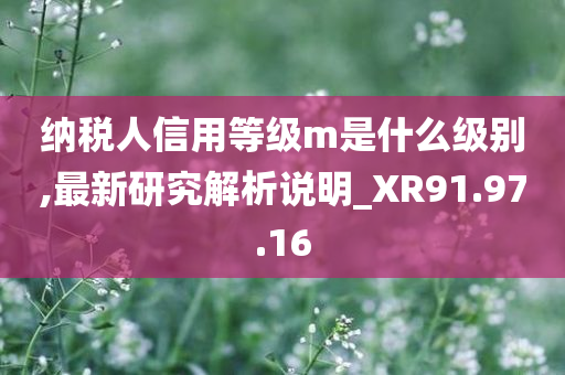 纳税人信用等级m是什么级别,最新研究解析说明_XR91.97.16