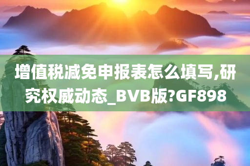 增值税减免申报表怎么填写,研究权威动态_BVB版?GF898