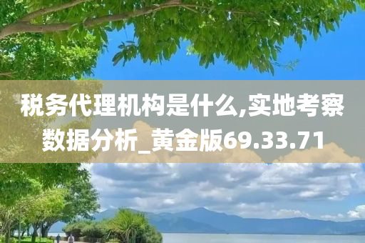 税务代理机构是什么,实地考察数据分析_黄金版69.33.71