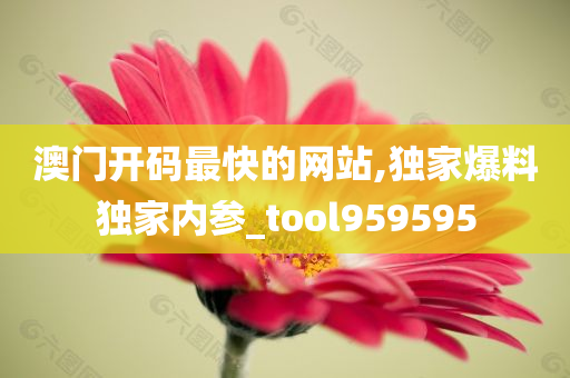 澳门开码最快的网站,独家爆料独家内参_tool959595