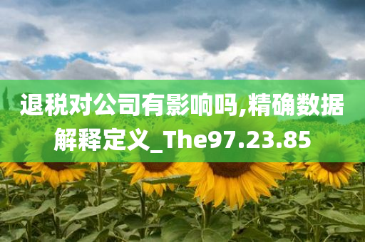 退税对公司有影响吗,精确数据解释定义_The97.23.85