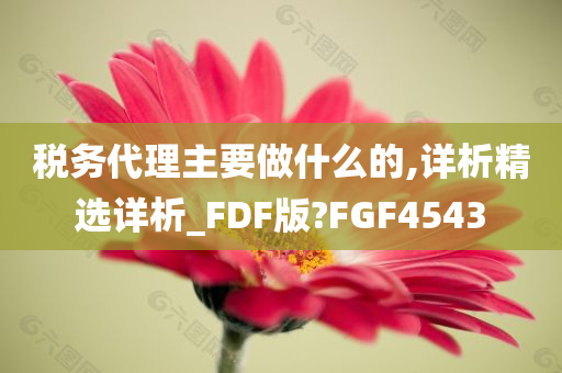 税务代理主要做什么的,详析精选详析_FDF版?FGF4543