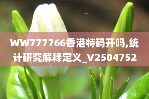 WW777766香港特码开吗,统计研究解释定义_V2504752