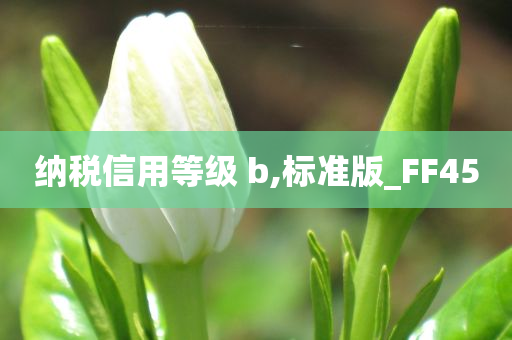 纳税信用等级 b,标准版_FF45