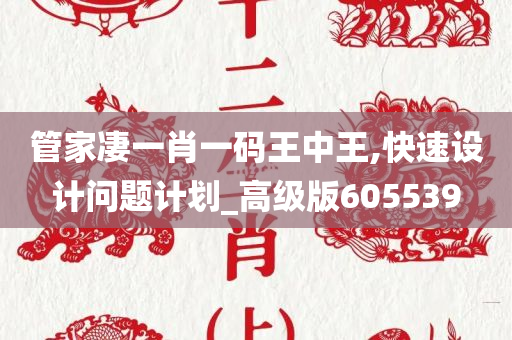 管家凄一肖一码王中王,快速设计问题计划_高级版605539