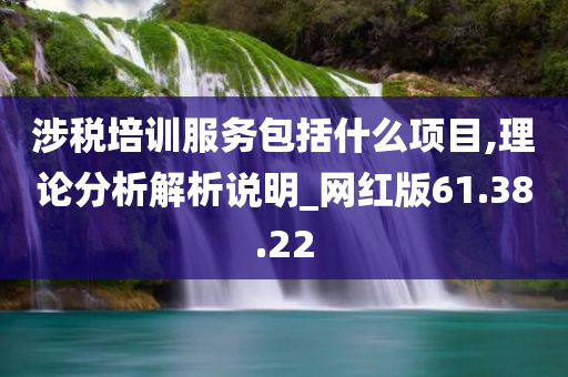 涉税培训服务包括什么项目,理论分析解析说明_网红版61.38.22