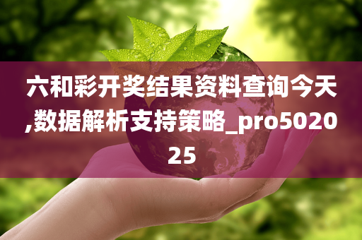 六和彩开奖结果资料查询今天,数据解析支持策略_pro502025