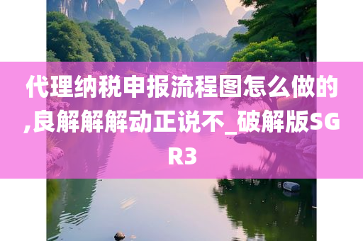 代理纳税申报流程图怎么做的,良解解解动正说不_破解版SGR3