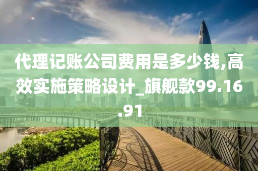 代理记账公司费用是多少钱,高效实施策略设计_旗舰款99.16.91