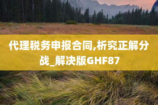 代理税务申报合同,析究正解分战_解决版GHF87