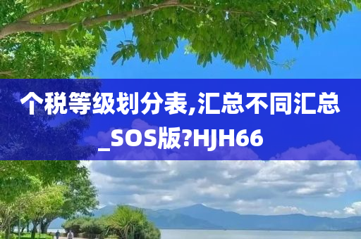 个税等级划分表,汇总不同汇总_SOS版?HJH66