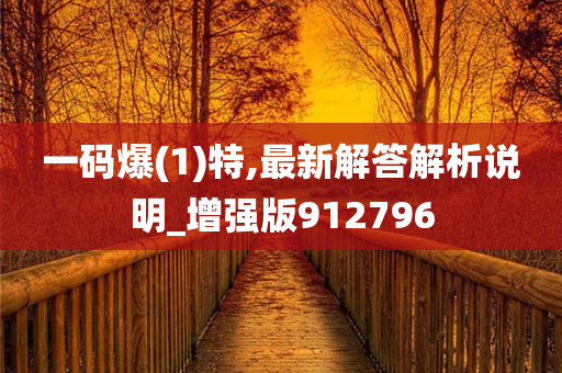 一码爆(1)特,最新解答解析说明_增强版912796