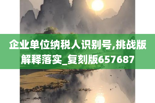 企业单位纳税人识别号,挑战版解释落实_复刻版657687