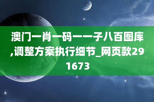 澳门一肖一码一一子八百图库,调整方案执行细节_网页款291673