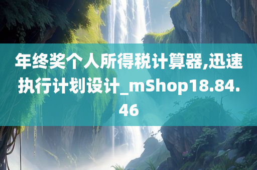 年终奖个人所得税计算器,迅速执行计划设计_mShop18.84.46