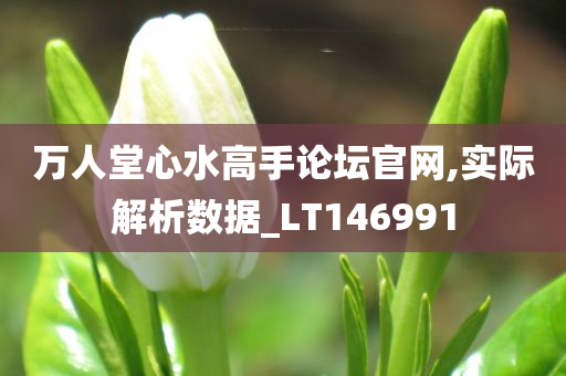 万人堂心水高手论坛官网,实际解析数据_LT146991