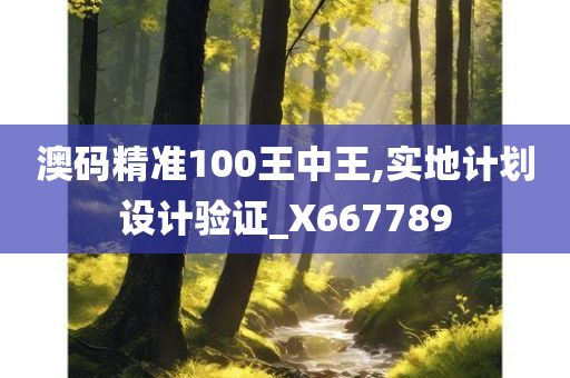 澳码精准100王中王,实地计划设计验证_X667789