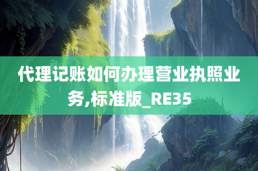 代理记账如何办理营业执照业务,标准版_RE35