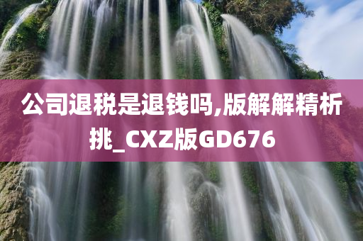 公司退税是退钱吗,版解解精析挑_CXZ版GD676