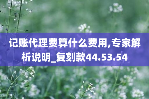 记账代理费算什么费用,专家解析说明_复刻款44.53.54