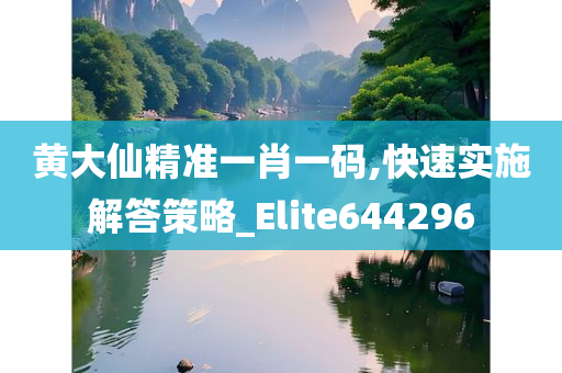 黄大仙精准一肖一码,快速实施解答策略_Elite644296