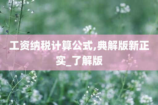 工资纳税计算公式,典解版新正实_了解版