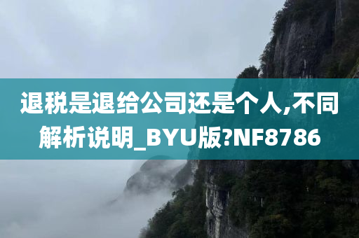 退税是退给公司还是个人,不同解析说明_BYU版?NF8786