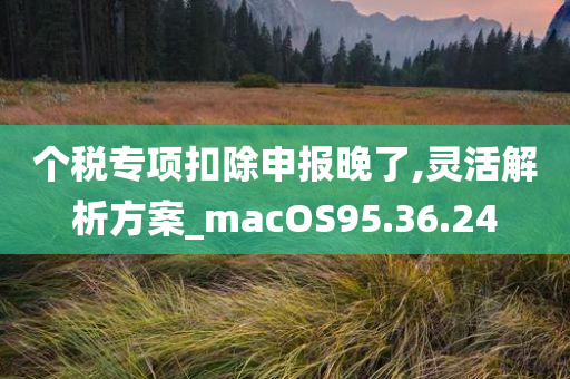 个税专项扣除申报晚了,灵活解析方案_macOS95.36.24