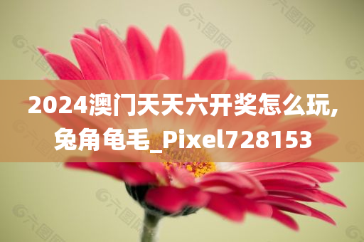 2024澳门天天六开奖怎么玩,兔角龟毛_Pixel728153