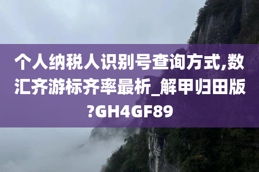 个人纳税人识别号查询方式,数汇齐游标齐率最析_解甲归田版?GH4GF89