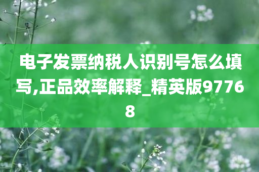 电子发票纳税人识别号怎么填写,正品效率解释_精英版97768