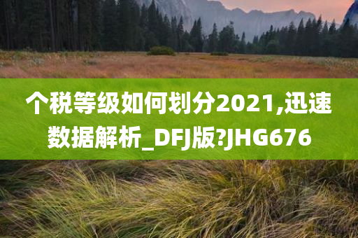 个税等级如何划分2021,迅速数据解析_DFJ版?JHG676