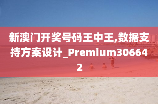 新澳门开奖号码王中王,数据支持方案设计_Premium306642