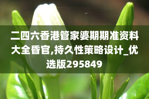 二四六香港管家婆期期准资料大全昏官,持久性策略设计_优选版295849