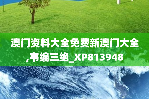 澳门资料大全免费新澳门大全,韦编三绝_XP813948