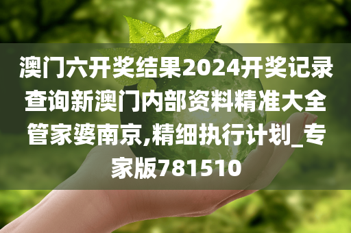 澳门六开奖结果2024开奖记录查询新澳门内部资料精准大全管家婆南京,精细执行计划_专家版781510