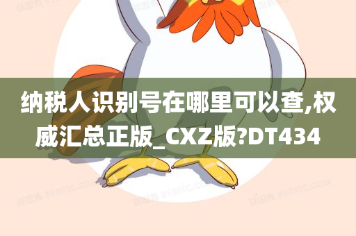 纳税人识别号在哪里可以查,权威汇总正版_CXZ版?DT434